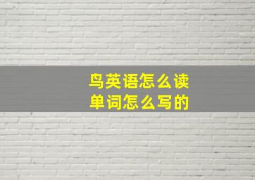 鸟英语怎么读 单词怎么写的